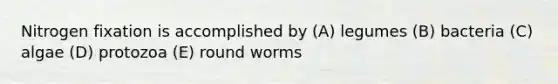 Nitrogen fixation is accomplished by (A) legumes (B) bacteria (C) algae (D) protozoa (E) round worms