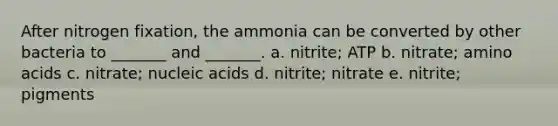 After nitrogen fixation, the ammonia can be converted by other bacteria to _______ and _______. a. nitrite; ATP b. nitrate; <a href='https://www.questionai.com/knowledge/k9gb720LCl-amino-acids' class='anchor-knowledge'>amino acids</a> c. nitrate; nucleic acids d. nitrite; nitrate e. nitrite; pigments