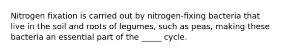 Nitrogen fixation is carried out by nitrogen-fixing bacteria that live in the soil and roots of legumes, such as peas, making these bacteria an essential part of the _____ cycle.