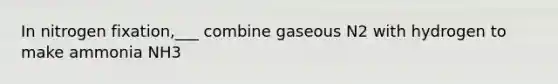 In nitrogen fixation,___ combine gaseous N2 with hydrogen to make ammonia NH3