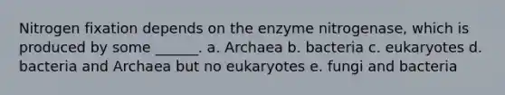 Nitrogen fixation depends on the enzyme nitrogenase, which is produced by some ______. a. Archaea b. bacteria c. eukaryotes d. bacteria and Archaea but no eukaryotes e. fungi and bacteria