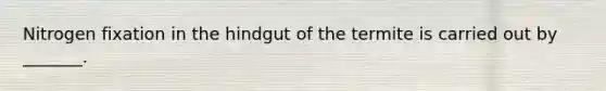 Nitrogen fixation in the hindgut of the termite is carried out by _______.