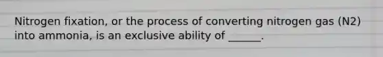 Nitrogen fixation, or the process of converting nitrogen gas (N2) into ammonia, is an exclusive ability of ______.