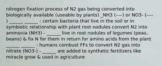 nitrogen fixation process of N2 gas being converted into biologically available (useable by plants) _NH3 (----) or NO3- (---- ) ______ ______ : certain bacteria that live in the soil or in symbiotic relationship with plant root nodules convert N2 into ammonia (NH3) - ______ live in root nodules of legumes (peas, beans) & fix N for them in return for amino acids from the plant ______ ______ : humans combust FFs to convert N2 gas into nitrate (NO3-) - ______ are added to synthetic fertilizers like miracle grow & used in agriculture