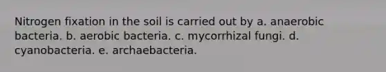 Nitrogen fixation in the soil is carried out by a. anaerobic bacteria. b. aerobic bacteria. c. mycorrhizal fungi. d. cyanobacteria. e. archaebacteria.