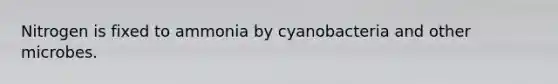 Nitrogen is fixed to ammonia by cyanobacteria and other microbes.