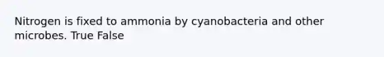 Nitrogen is fixed to ammonia by cyanobacteria and other microbes. True False