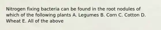 Nitrogen fixing bacteria can be found in the root nodules of which of the following plants A. Legumes B. Corn C. Cotton D. Wheat E. All of the above