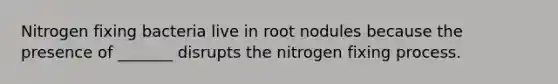 Nitrogen fixing bacteria live in root nodules because the presence of _______ disrupts the nitrogen fixing process.