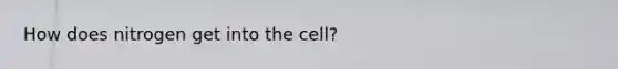 How does nitrogen get into the cell?