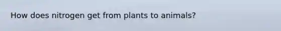 How does nitrogen get from plants to animals?