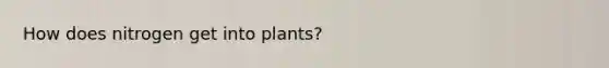 How does nitrogen get into plants?