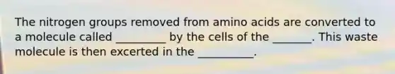 The nitrogen groups removed from amino acids are converted to a molecule called _________ by the cells of the _______. This waste molecule is then excerted in the __________.