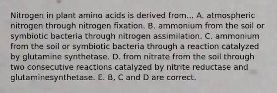 Nitrogen in plant amino acids is derived from... A. atmospheric nitrogen through nitrogen fixation. B. ammonium from the soil or symbiotic bacteria through nitrogen assimilation. C. ammonium from the soil or symbiotic bacteria through a reaction catalyzed by glutamine synthetase. D. from nitrate from the soil through two consecutive reactions catalyzed by nitrite reductase and glutaminesynthetase. E. B, C and D are correct.