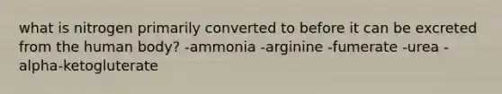 what is nitrogen primarily converted to before it can be excreted from the human body? -ammonia -arginine -fumerate -urea -alpha-ketogluterate