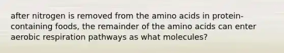 after nitrogen is removed from the amino acids in protein-containing foods, the remainder of the amino acids can enter aerobic respiration pathways as what molecules?