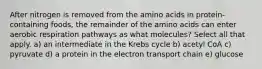 After nitrogen is removed from the amino acids in protein-containing foods, the remainder of the amino acids can enter aerobic respiration pathways as what molecules? Select all that apply. a) an intermediate in the Krebs cycle b) acetyl CoA c) pyruvate d) a protein in the electron transport chain e) glucose