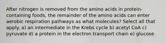 After nitrogen is removed from the <a href='https://www.questionai.com/knowledge/k9gb720LCl-amino-acids' class='anchor-knowledge'>amino acids</a> in protein-containing foods, the remainder of the amino acids can enter aerobic respiration pathways as what molecules? Select all that apply. a) an intermediate in the <a href='https://www.questionai.com/knowledge/kqfW58SNl2-krebs-cycle' class='anchor-knowledge'>krebs cycle</a> b) acetyl CoA c) pyruvate d) a protein in <a href='https://www.questionai.com/knowledge/k57oGBr0HP-the-electron-transport-chain' class='anchor-knowledge'>the electron transport chain</a> e) glucose