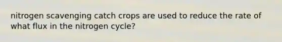 nitrogen scavenging catch crops are used to reduce the rate of what flux in the nitrogen cycle?