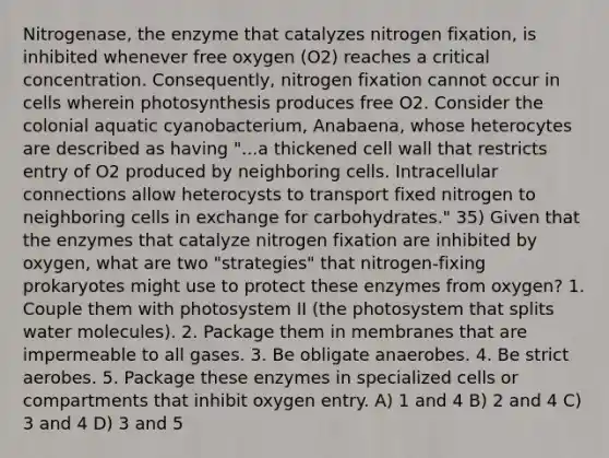 Nitrogenase, the enzyme that catalyzes nitrogen fixation, is inhibited whenever free oxygen (O2) reaches a critical concentration. Consequently, nitrogen fixation cannot occur in cells wherein photosynthesis produces free O2. Consider the colonial aquatic cyanobacterium, Anabaena, whose heterocytes are described as having "...a thickened cell wall that restricts entry of O2 produced by neighboring cells. Intracellular connections allow heterocysts to transport fixed nitrogen to neighboring cells in exchange for carbohydrates." 35) Given that the enzymes that catalyze nitrogen fixation are inhibited by oxygen, what are two "strategies" that nitrogen-fixing prokaryotes might use to protect these enzymes from oxygen? 1. Couple them with photosystem II (the photosystem that splits water molecules). 2. Package them in membranes that are impermeable to all gases. 3. Be obligate anaerobes. 4. Be strict aerobes. 5. Package these enzymes in specialized cells or compartments that inhibit oxygen entry. A) 1 and 4 B) 2 and 4 C) 3 and 4 D) 3 and 5