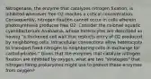 Nitrogenase, the enzyme that catalyzes nitrogen fixation, is inhibited whenever free O2 reaches a critical concentration. Consequently, nitrogen fixation cannot occur in cells wherein photosynthesis produces free O2. Consider the colonial aquatic cyanobacterium Anabaena, whose heterocytes are described as having "a thickened cell wall that restricts entry of O2 produced by neighboring cells. Intracellular connections allow heterocysts to transport fixed nitrogen to neighboring cells in exchange for carbohydrates." Given that the enzymes that catalyze nitrogen fixation are inhibited by oxygen, what are two "strategies" that nitrogen-fixing prokaryotes might use to protect these enzymes from oxygen?