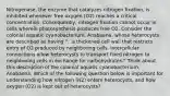 Nitrogenase, the enzyme that catalyzes nitrogen fixation, is inhibited whenever free oxygen (O2) reaches a critical concentration. Consequently, nitrogen fixation cannot occur in cells wherein photosynthesis produces free O2. Consider the colonial aquatic cyanobacterium, Anabaena, whose heterocysts are described as having "...a thickened cell wall that restricts entry of O2 produced by neighboring cells. Intercellular connections allow heterocysts to transport fixed nitrogen to neighboring cells in exchange for carbohydrates." Think about this description of the colonial aquatic cyanobacterium, Anabaena. Which of the following question below is important for understanding how nitrogen (N2) enters heterocysts, and how oxygen (O2) is kept out of heterocysts?