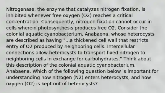 Nitrogenase, the enzyme that catalyzes nitrogen fixation, is inhibited whenever free oxygen (O2) reaches a critical concentration. Consequently, nitrogen fixation cannot occur in cells wherein photosynthesis produces free O2. Consider the colonial aquatic cyanobacterium, Anabaena, whose heterocysts are described as having "...a thickened cell wall that restricts entry of O2 produced by neighboring cells. Intercellular connections allow heterocysts to transport fixed nitrogen to neighboring cells in exchange for carbohydrates." Think about this description of the colonial aquatic cyanobacterium, Anabaena. Which of the following question below is important for understanding how nitrogen (N2) enters heterocysts, and how oxygen (O2) is kept out of heterocysts?