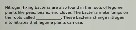 Nitrogen-fixing bacteria are also found in the roots of legume plants like peas, beans, and clover. The bacteria make lumps on the roots called _____________. These bacteria change nitrogen into nitrates that legume plants can use.