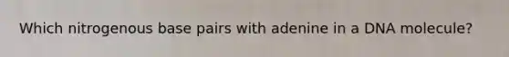 Which nitrogenous base pairs with adenine in a DNA molecule?