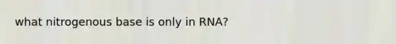 what nitrogenous base is only in RNA?