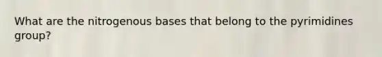 What are the nitrogenous bases that belong to the pyrimidines group?