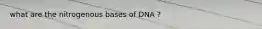 what are the nitrogenous bases of DNA ?