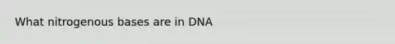 What nitrogenous bases are in DNA