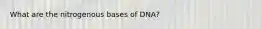 What are the nitrogenous bases of DNA?