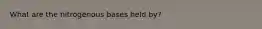 What are the nitrogenous bases held by?