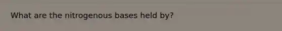 What are the nitrogenous bases held by?