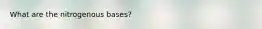 What are the nitrogenous bases?