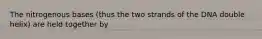 The nitrogenous bases (thus the two strands of the DNA double helix) are held together by