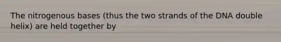 The nitrogenous bases (thus the two strands of the DNA double helix) are held together by