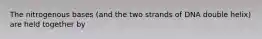 The nitrogenous bases (and the two strands of DNA double helix) are held together by