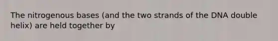 The nitrogenous bases (and the two strands of the DNA double helix) are held together by