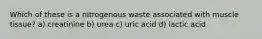 Which of these is a nitrogenous waste associated with muscle tissue? a) creatinine b) urea c) uric acid d) lactic acid