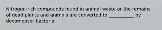 Nitrogen-rich compounds found in animal waste or the remains of dead plants and animals are converted to ___________ by decomposer bacteria.