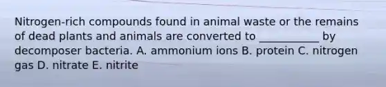 Nitrogen-rich compounds found in animal waste or the remains of dead plants and animals are converted to ___________ by decomposer bacteria. A. ammonium ions B. protein C. nitrogen gas D. nitrate E. nitrite