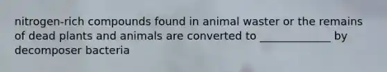 nitrogen-rich compounds found in animal waster or the remains of dead plants and animals are converted to _____________ by decomposer bacteria