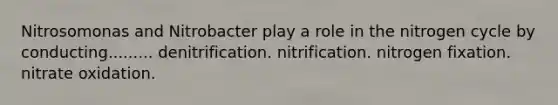 Nitrosomonas and Nitrobacter play a role in the nitrogen cycle by conducting......... denitrification. nitrification. nitrogen fixation. nitrate oxidation.