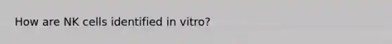 How are NK cells identified in vitro?