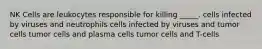 NK Cells are leukocytes responsible for killing _____. cells infected by viruses and neutrophils cells infected by viruses and tumor cells tumor cells and plasma cells tumor cells and T-cells