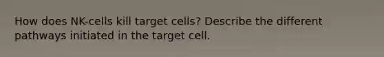 How does NK-cells kill target cells? Describe the different pathways initiated in the target cell.