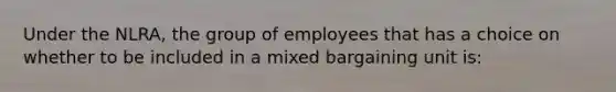 Under the NLRA, the group of employees that has a choice on whether to be included in a mixed bargaining unit is: